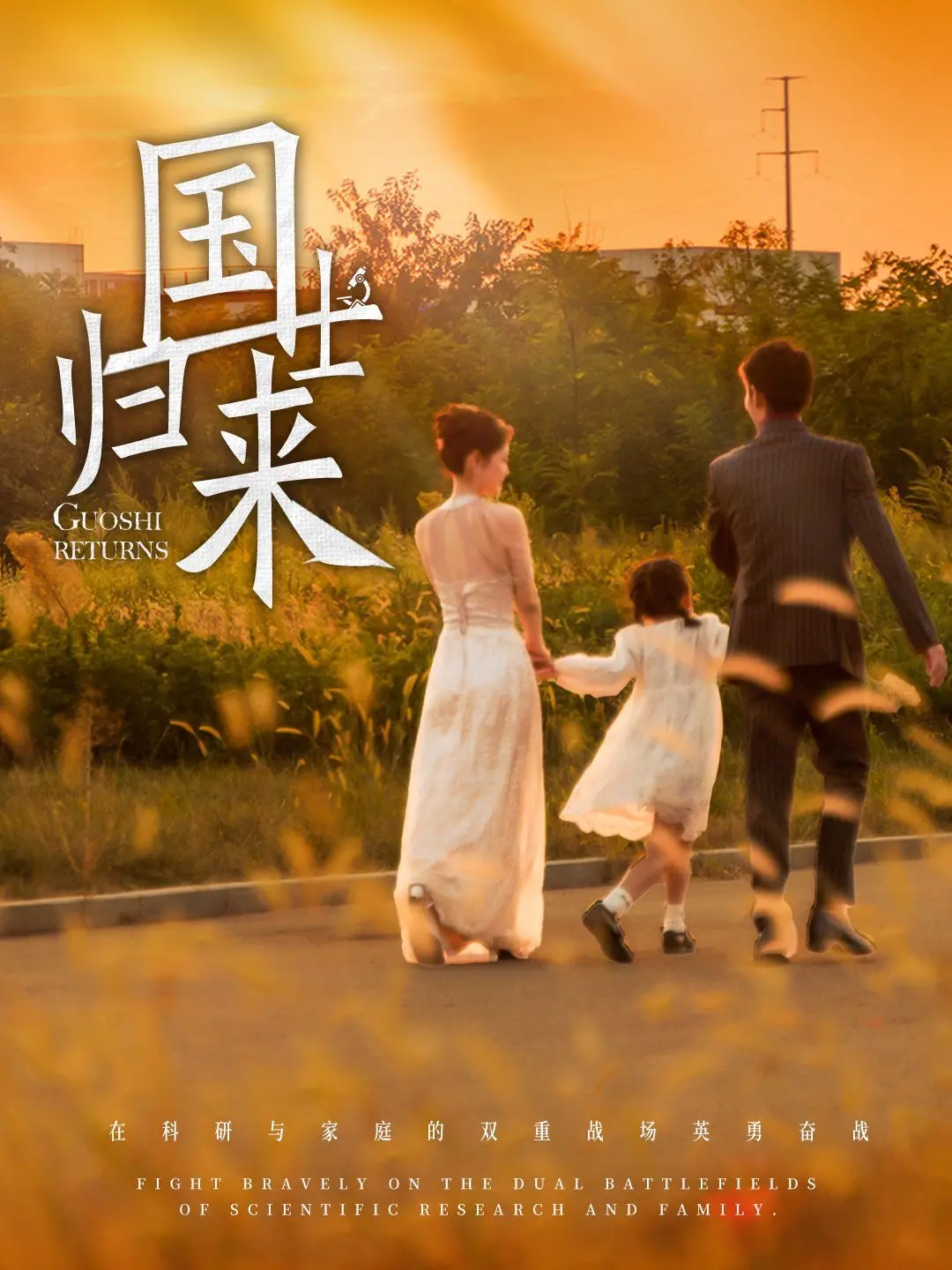 《国士归来》：致敬英雄！看无名英雄如何守护国家安宁，深度解析与感动