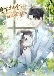 《重生相逢：给你我的独家宠溺》第四季：甜度超标！霸道总裁的宠妻之路再升级！