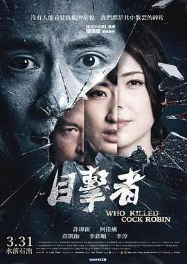 《目击者之追凶》：当真相化为利刃，切割人性最深处的黑暗与绝望